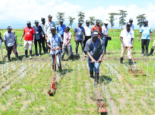 capacity in Agriculture